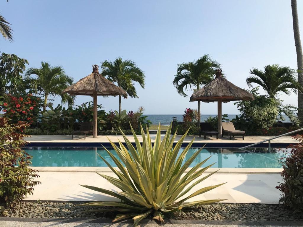 Melaya Beach Resort Room Double Penginuman Eksteriør bilde